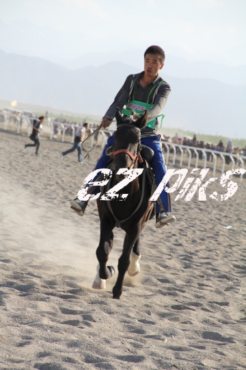 Free Horse Race