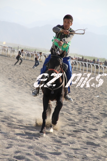 Free Horse Race