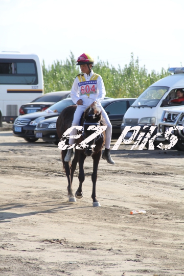 Free Horse Race