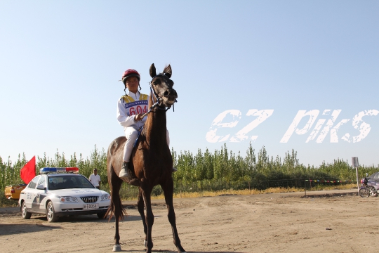 Free Horse Race