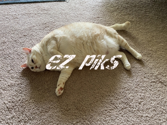Big Belly