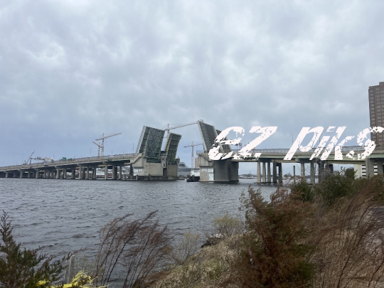 Draw Bridge