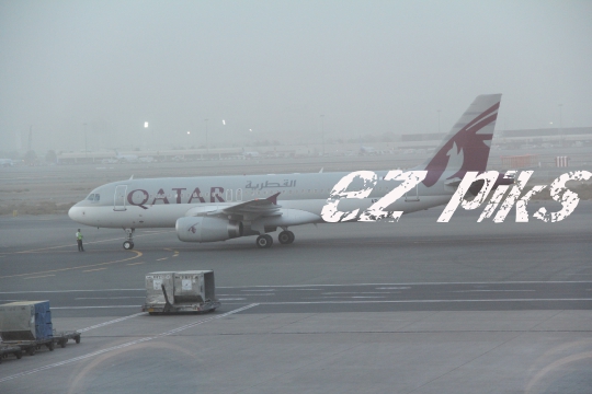 Airbus 319