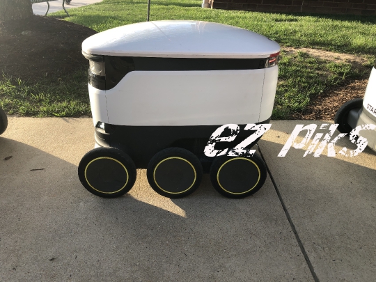 Food Delivery Bot