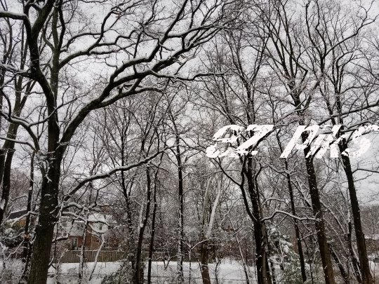Winter View