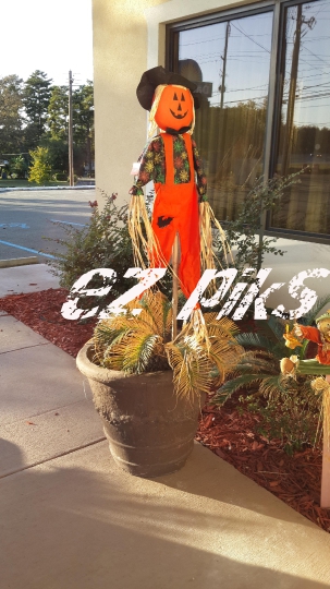 Halloween Scarecrow