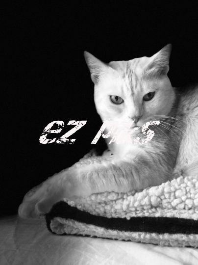 Cat Model