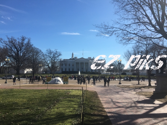 The White House