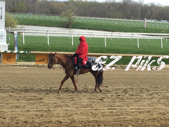 Lead Pony