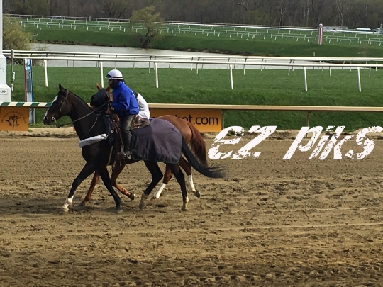 Outrider in Action