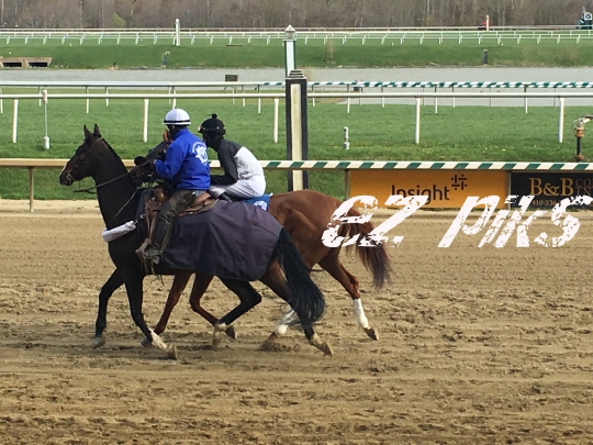 Outrider in Action