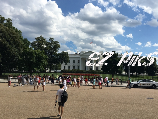 The White House