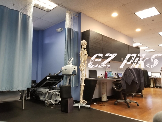 Skeleton