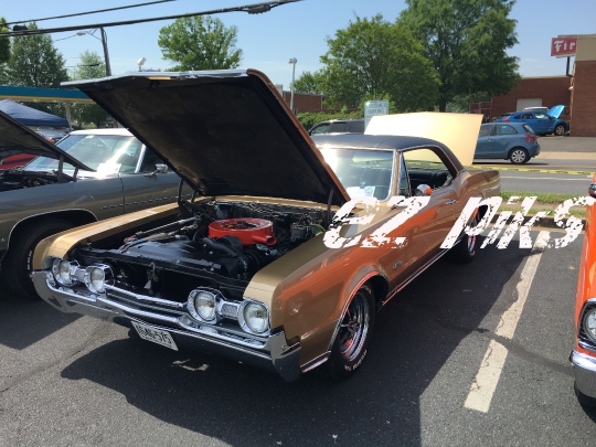 Classic Cars Show