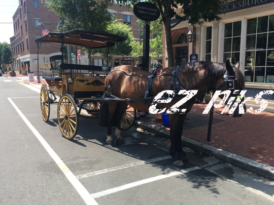 Horse Drawn Carriage