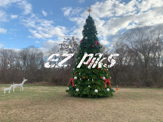 Christmas Tree