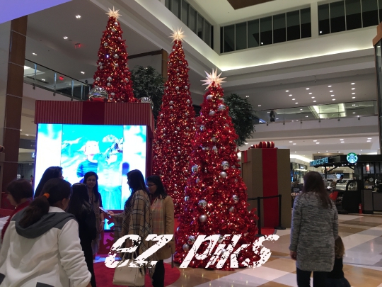 Christmas Festivities