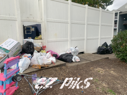 Dumpster