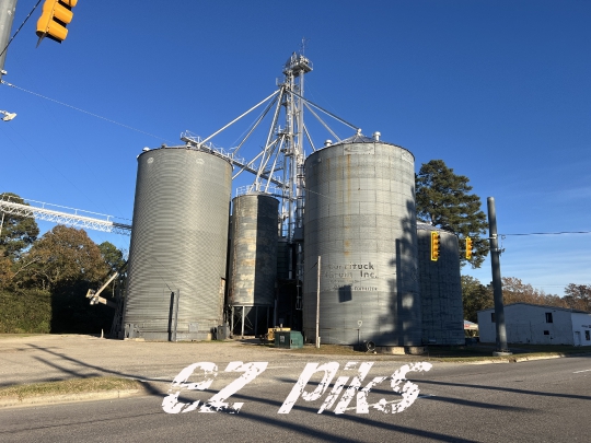 Grains