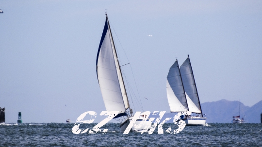 Sailboats