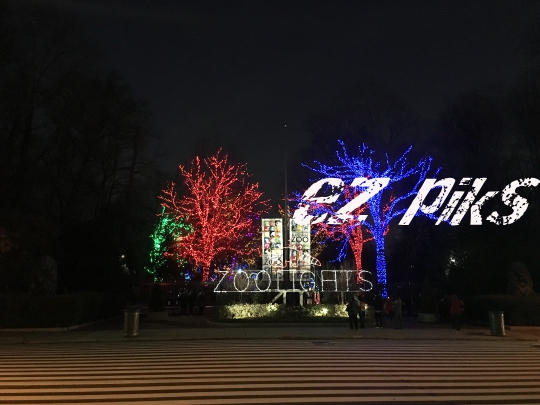 Christmas Lights