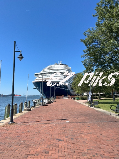 Cruise Liner