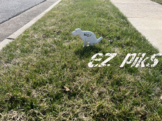 No Dog Pooping