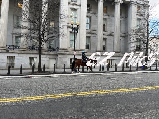Mounted Police