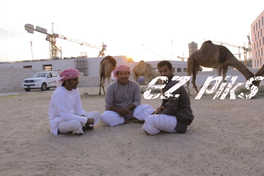 Camels