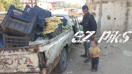 Street Vendor