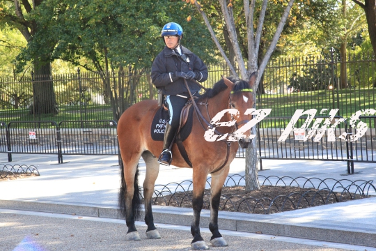 Mounted Police