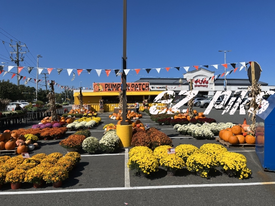 Halloween Pop-up Store