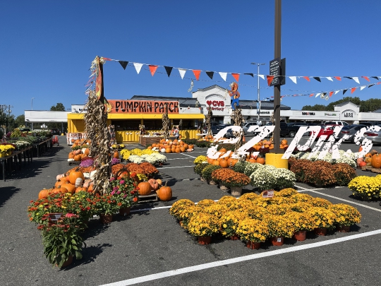 Halloween Pop-up Store
