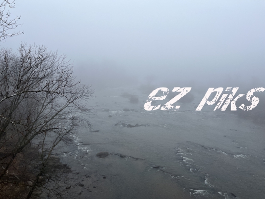 Fog