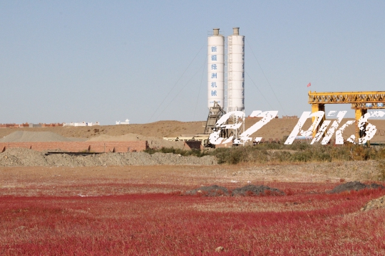 Red Vegetation