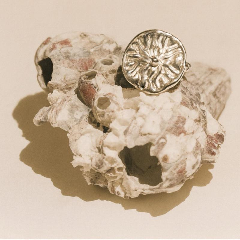 Anel concha (Anel Memória do Mar)