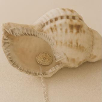 Colar pingente Concha (Colar Memória do Mar)