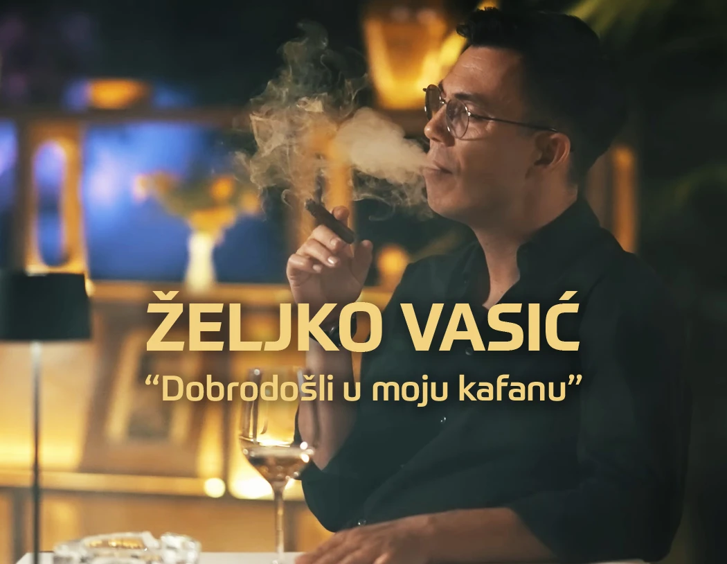 Željko Vasić — Koncert