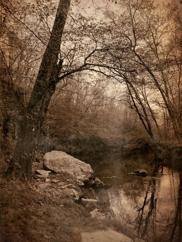 Todd Stabley