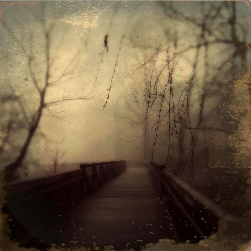 Todd Stabley