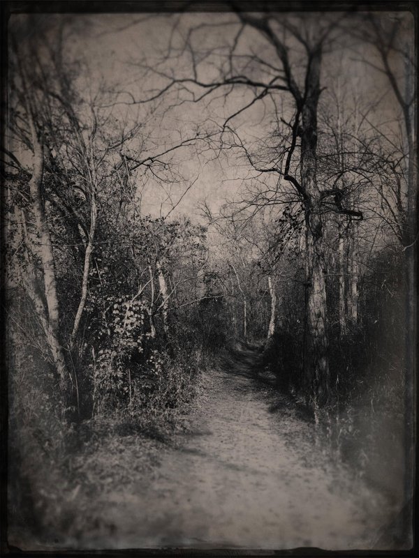 Todd Stabley