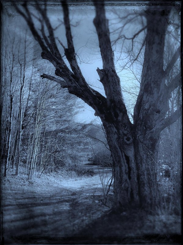 Todd Stabley