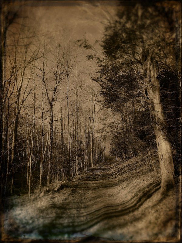 Todd Stabley