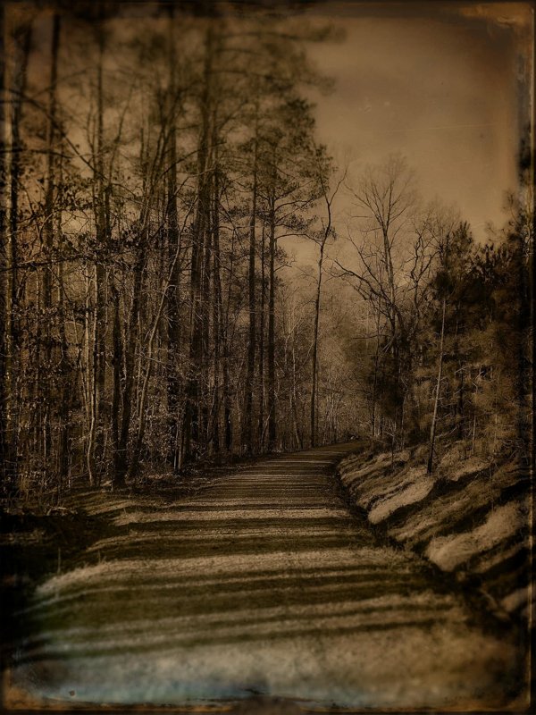 Todd Stabley