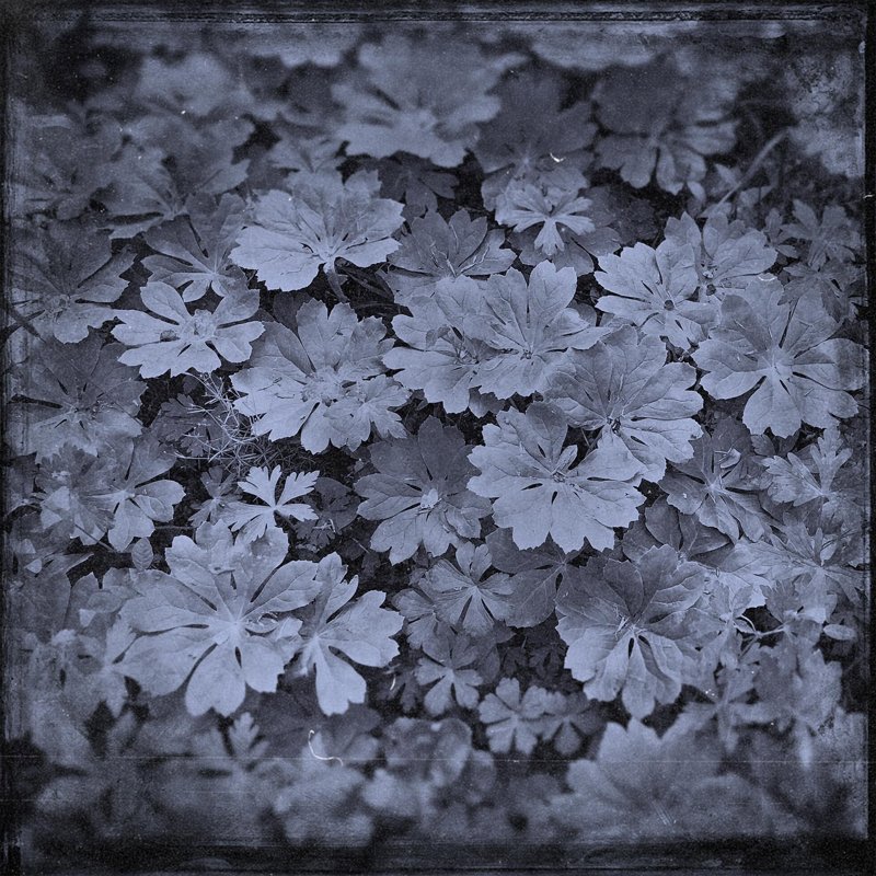 Todd Stabley