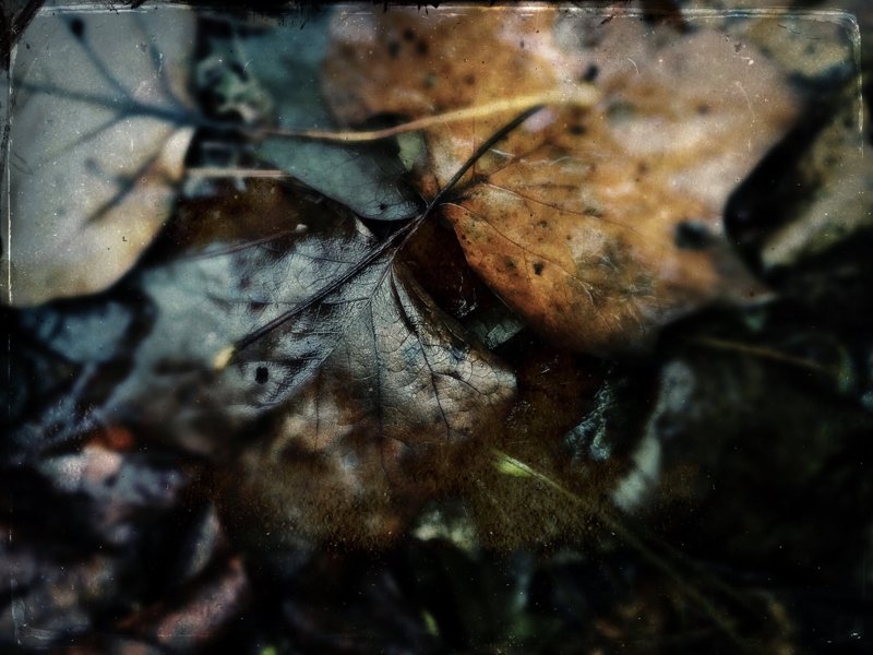 Todd Stabley