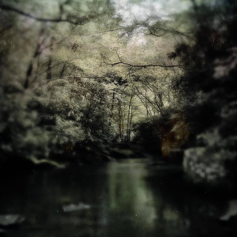 Todd Stabley