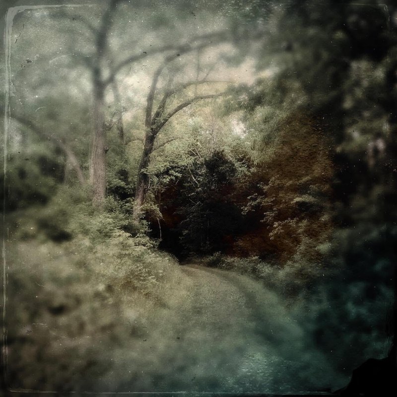 Todd Stabley