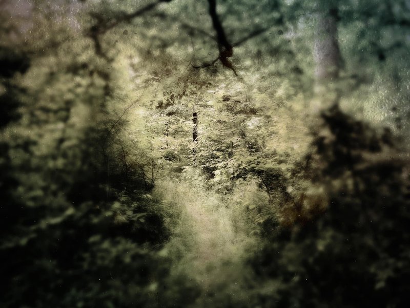 Todd Stabley