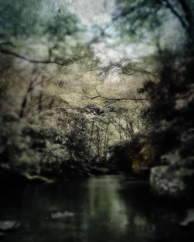 Todd Stabley